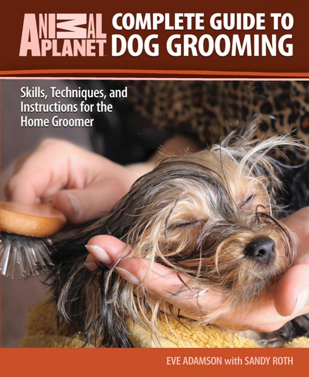 Big bigCover of Complete Guide to Dog Grooming