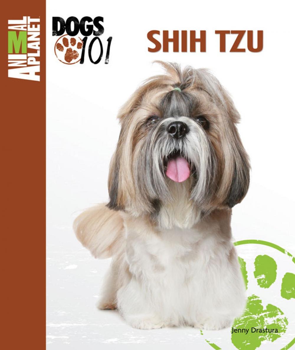 Big bigCover of Shih Tzu