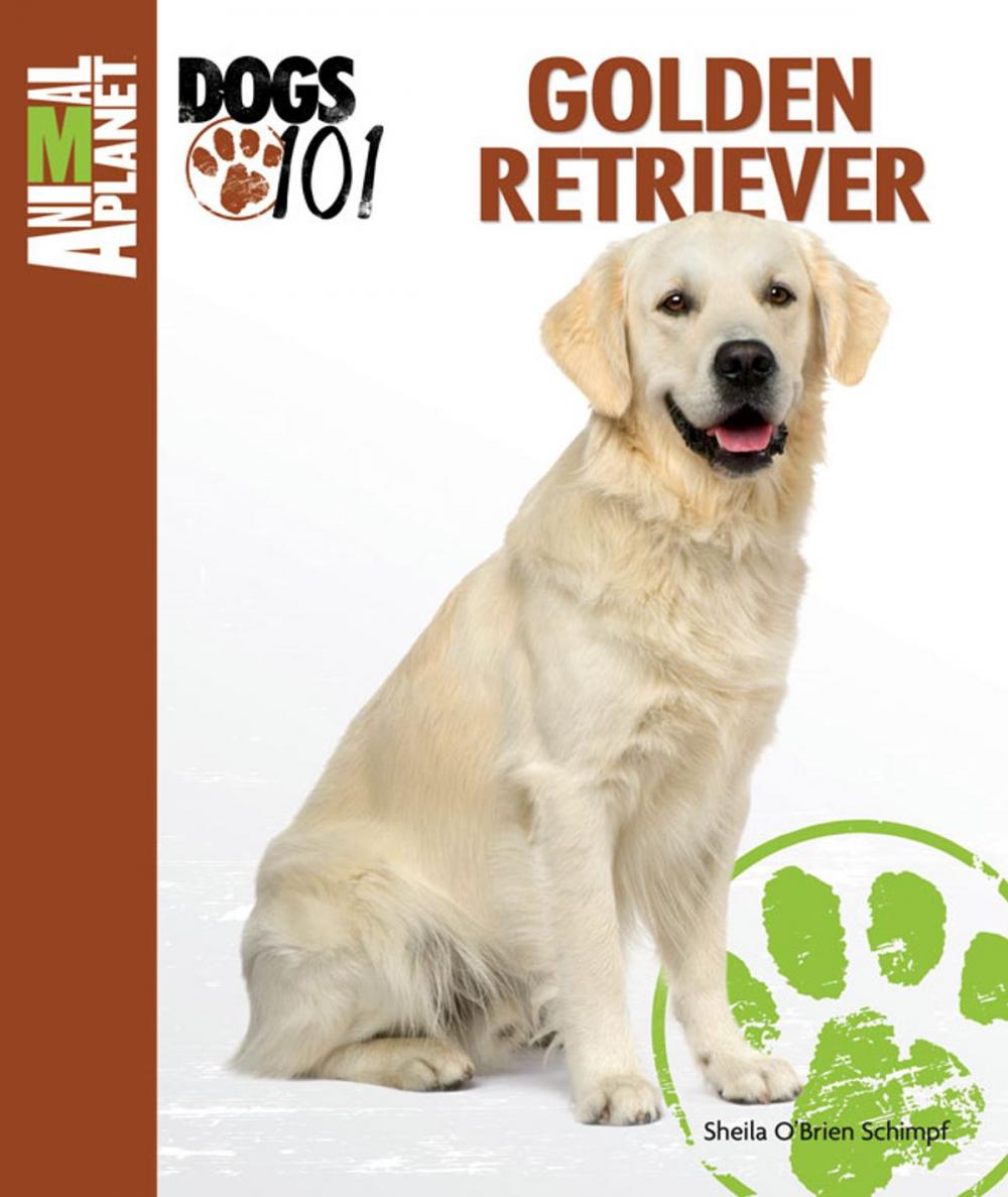 Big bigCover of Golden Retriever