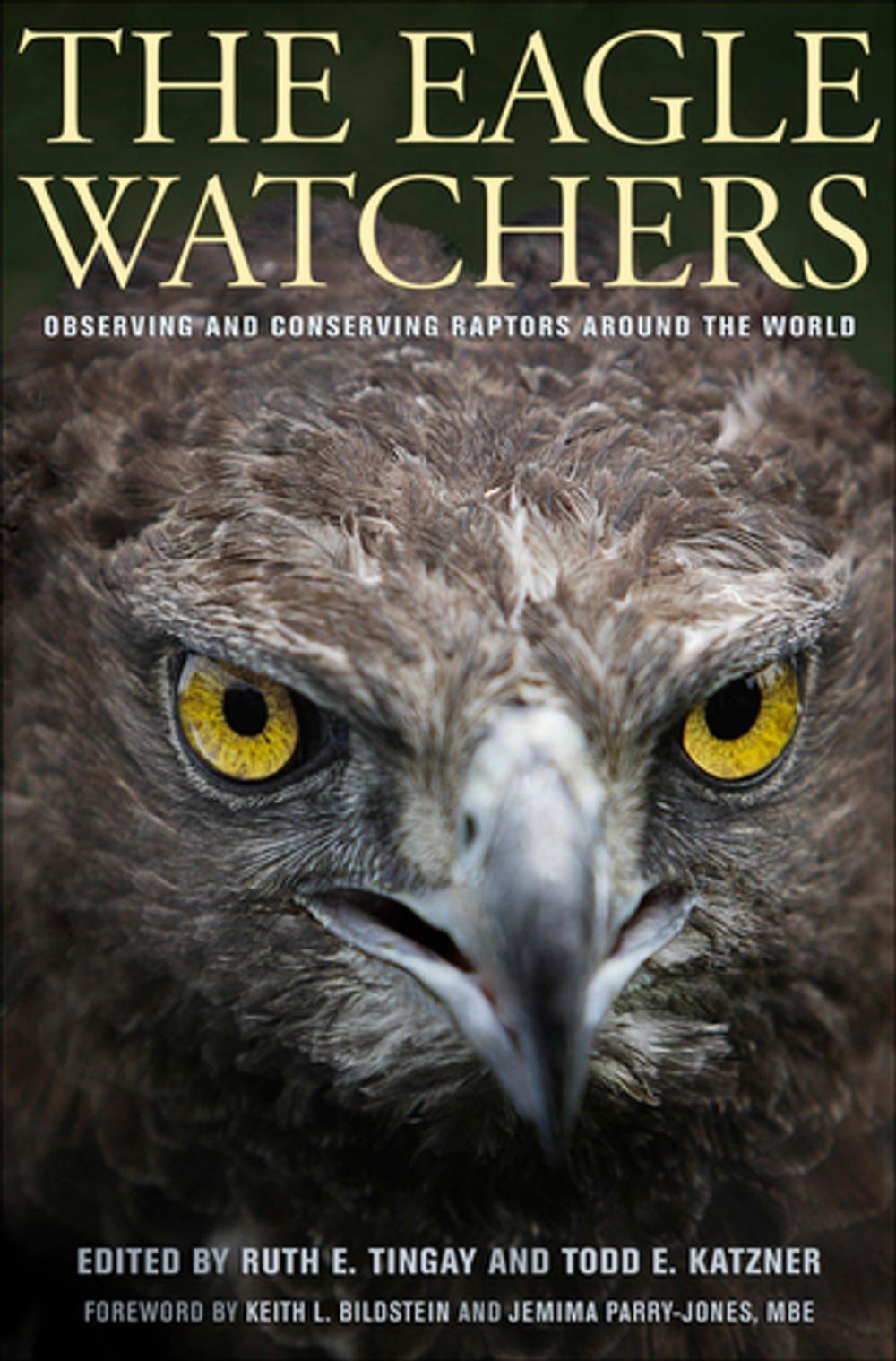 Big bigCover of The Eagle Watchers