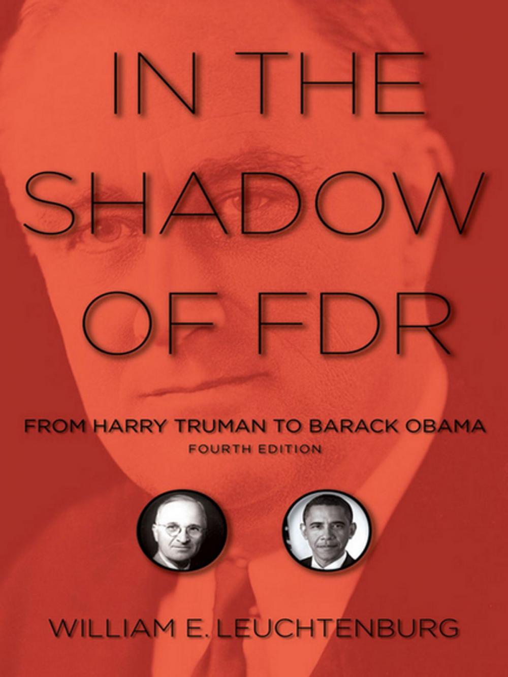 Big bigCover of In the Shadow of FDR