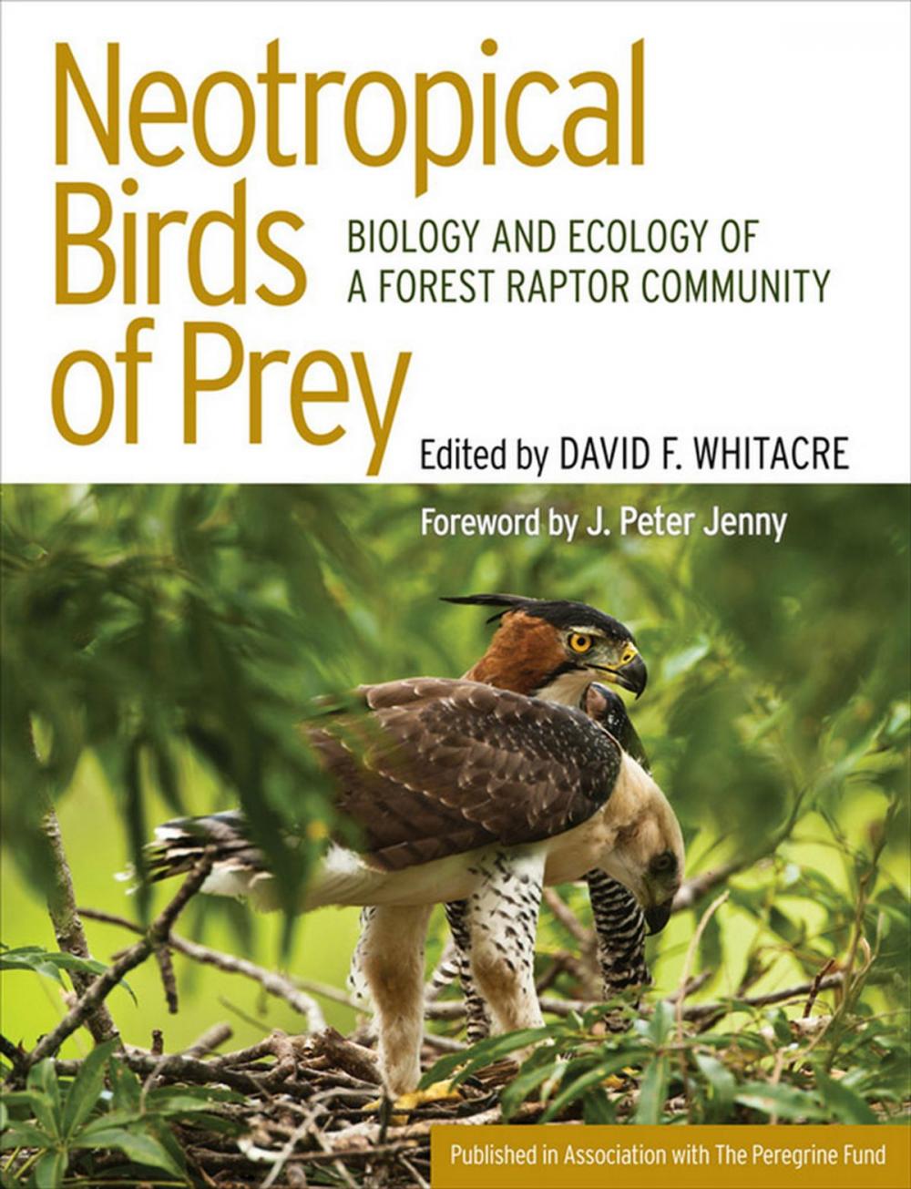 Big bigCover of Neotropical Birds of Prey