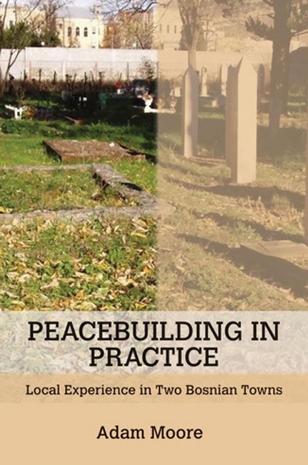 Big bigCover of Peacebuilding in Practice