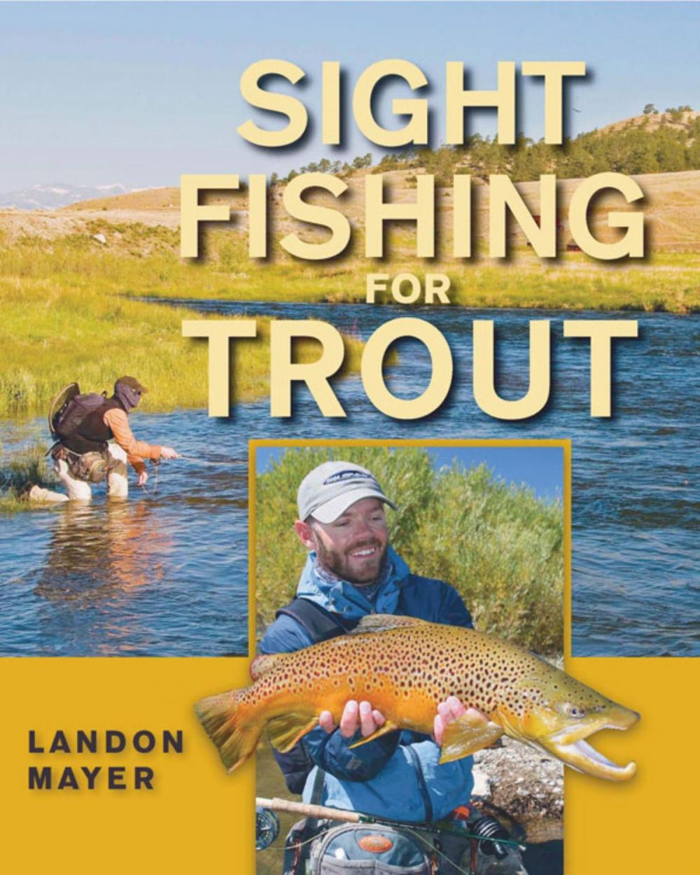 Big bigCover of Sight Fishing for Trout