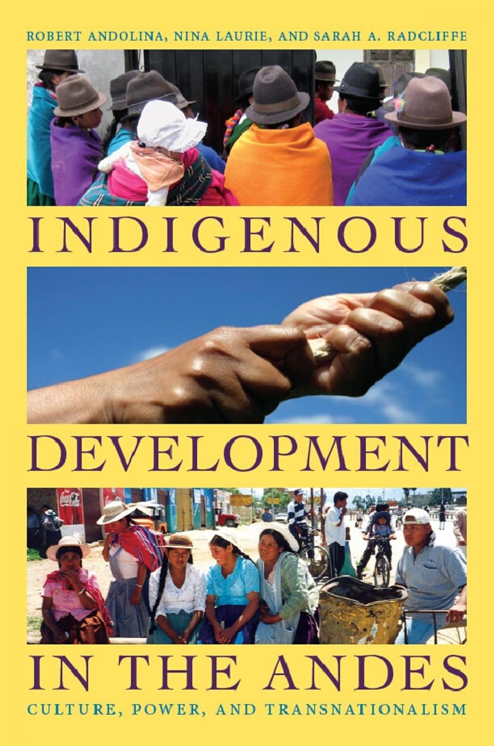 Big bigCover of Indigenous Development in the Andes