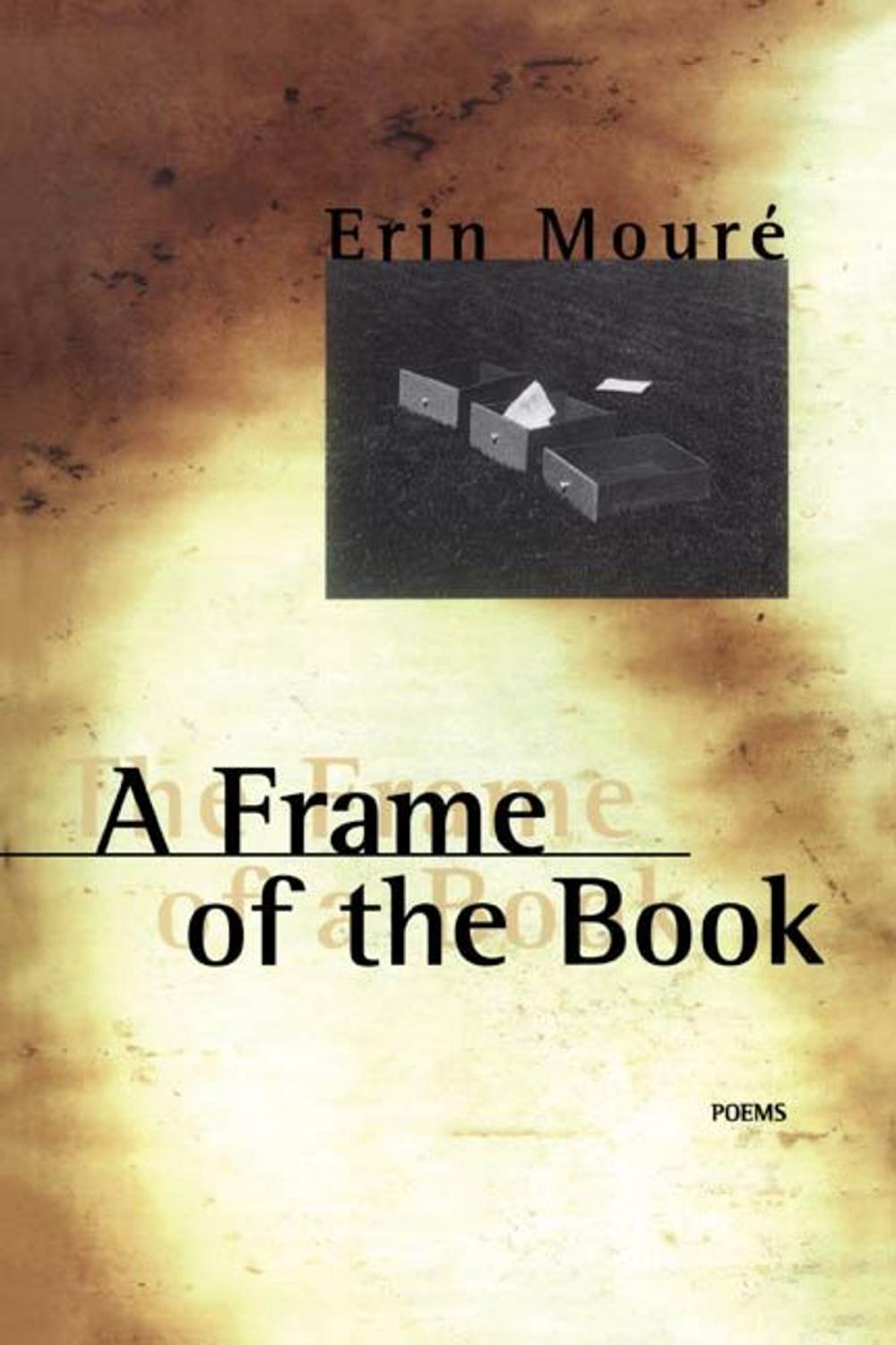 Big bigCover of A Frame of the Book