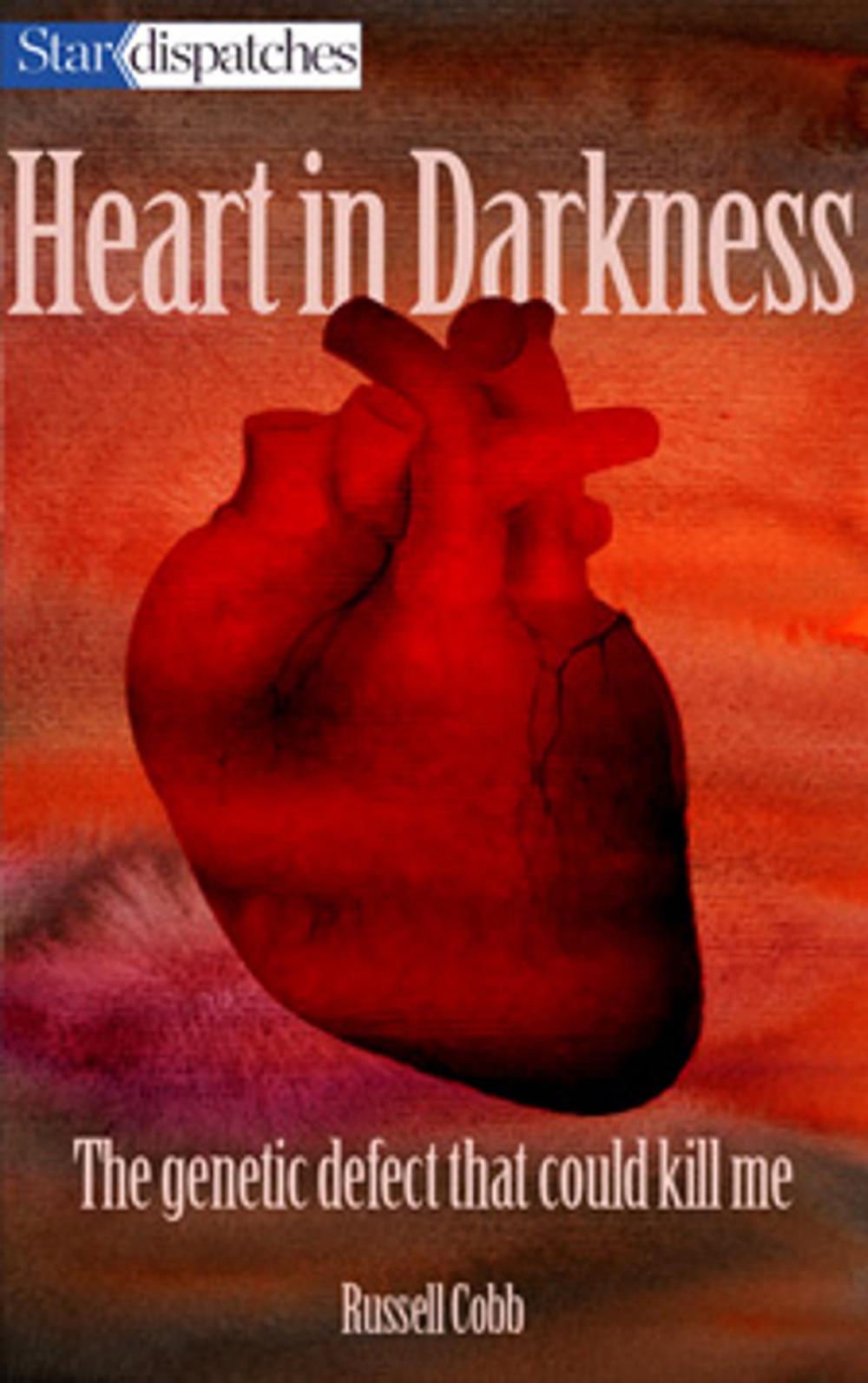 Big bigCover of Heart in Darkness