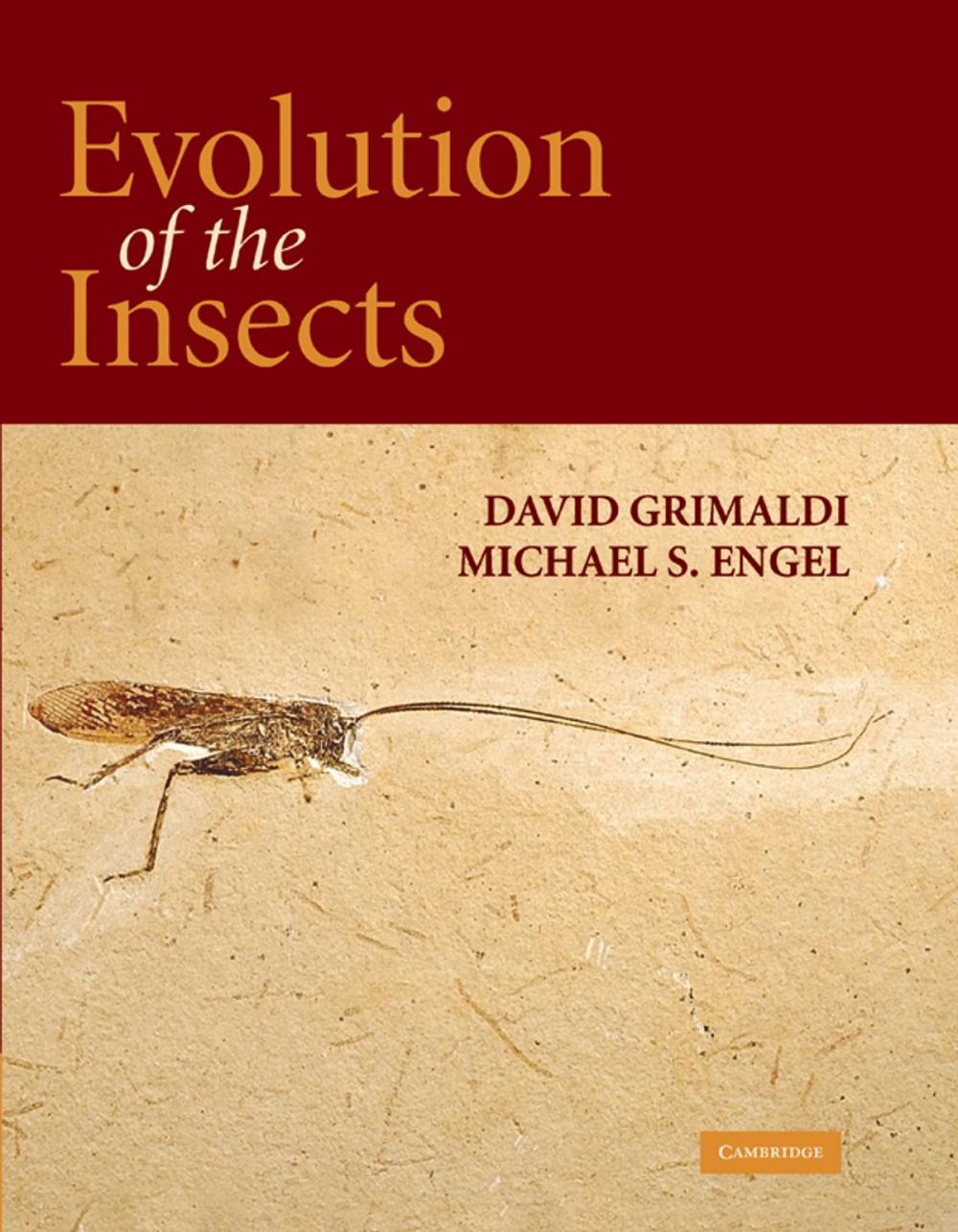 Big bigCover of Evolution of the Insects