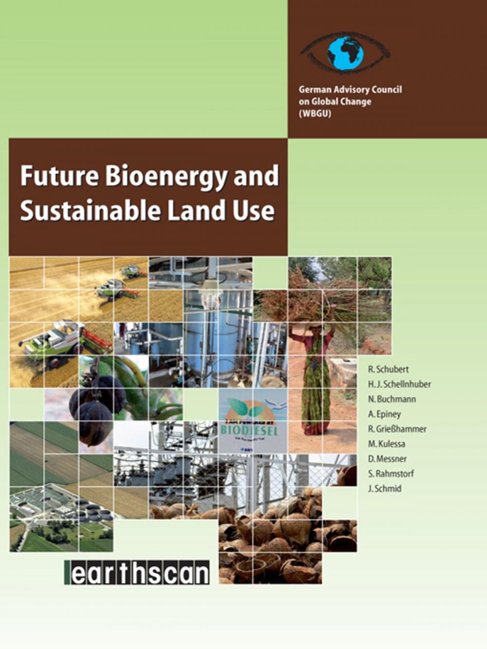 Big bigCover of Future Bioenergy and Sustainable Land Use