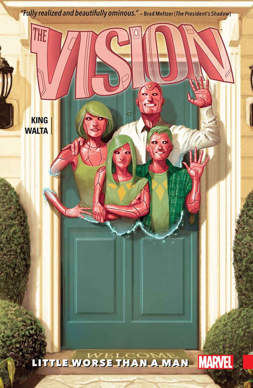 Big bigCover of Vision Vol. 1