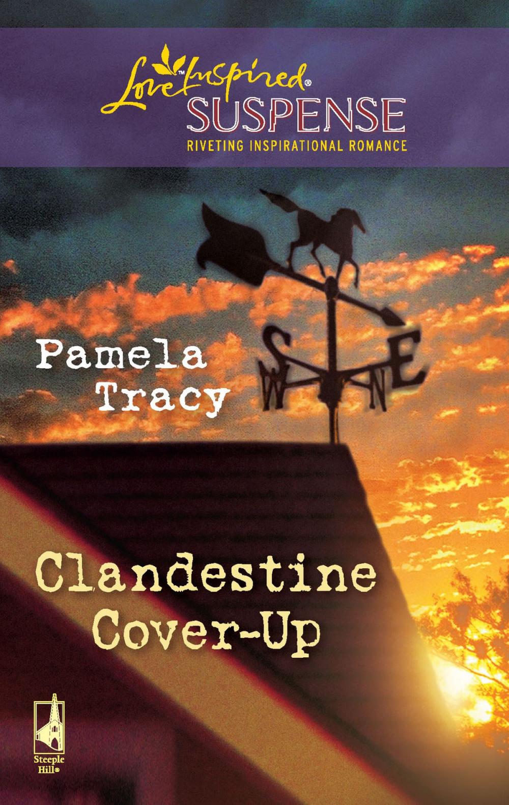 Big bigCover of Clandestine Cover-Up