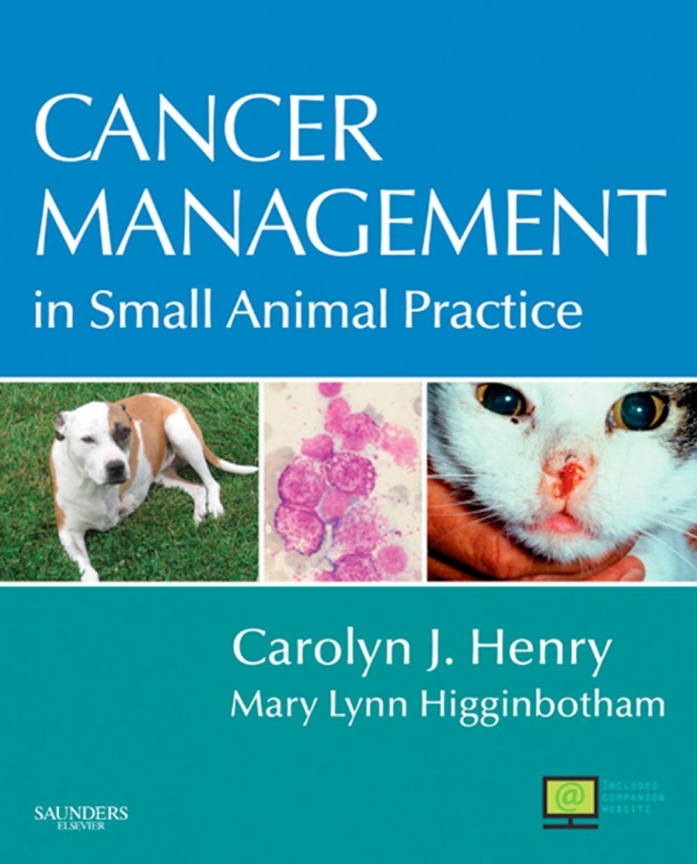 Big bigCover of Cancer Management in Small Animal Practice - E-Book