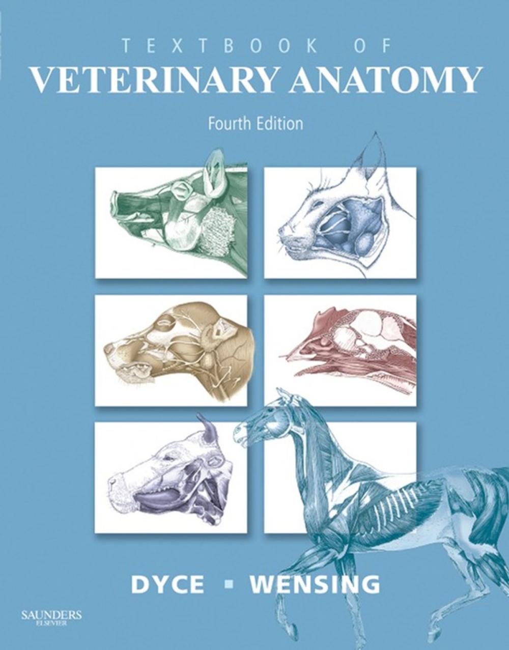 Big bigCover of Textbook of Veterinary Anatomy - E-Book