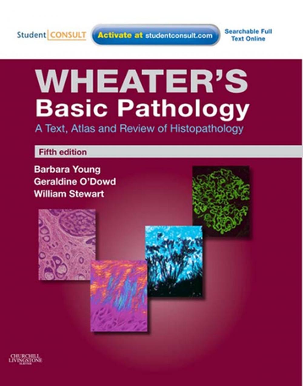 Big bigCover of Wheater's Basic Pathology: A Text, Atlas and Review of Histopathology E-Book