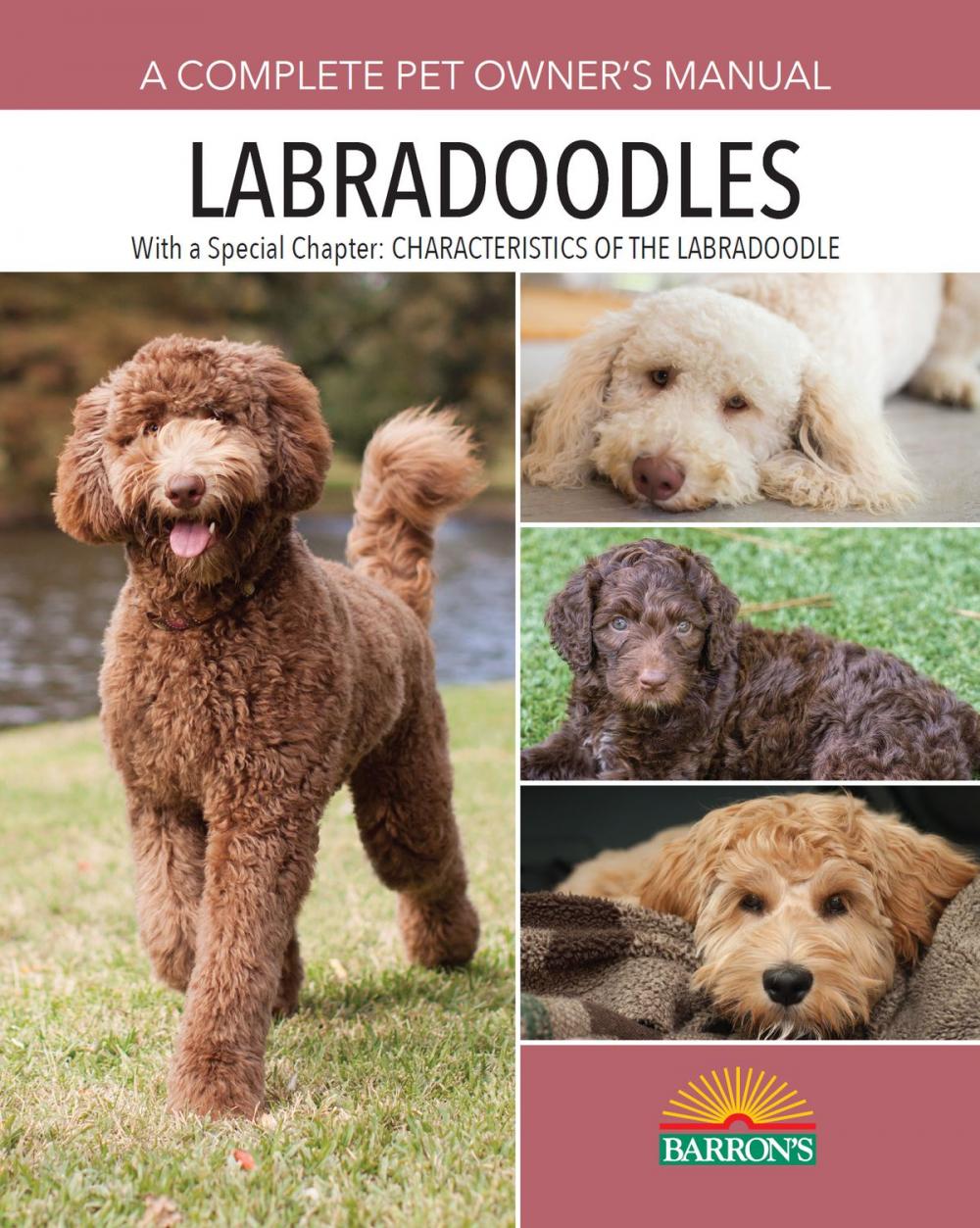 Big bigCover of Labradoodles