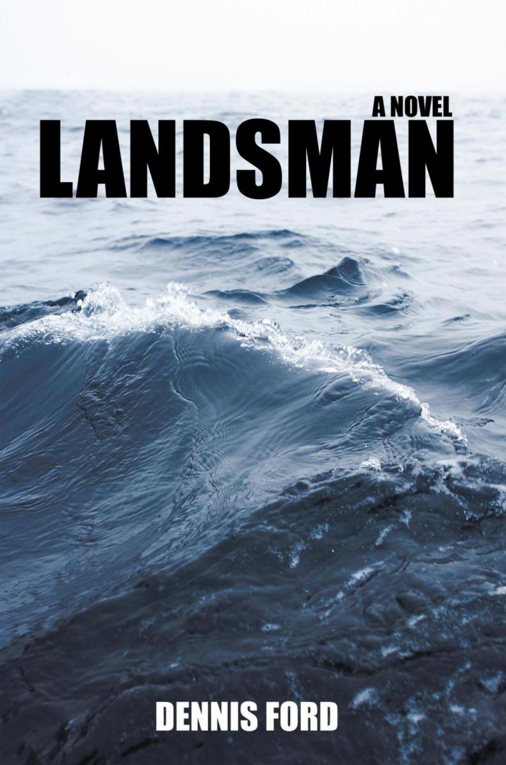 Big bigCover of Landsman