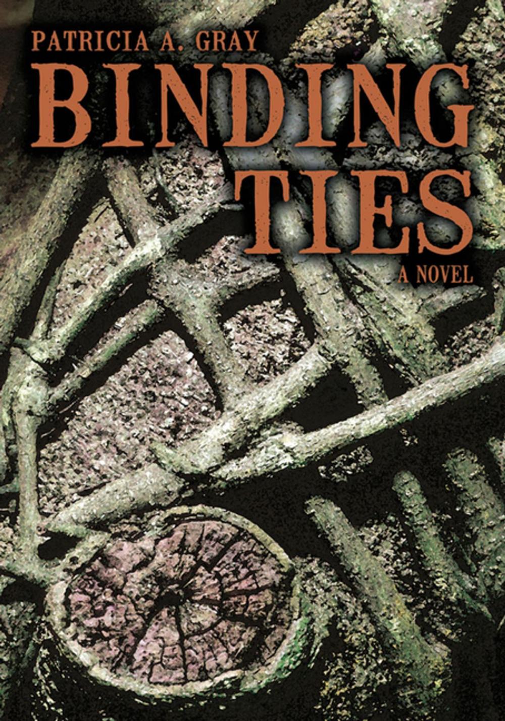 Big bigCover of Binding Ties