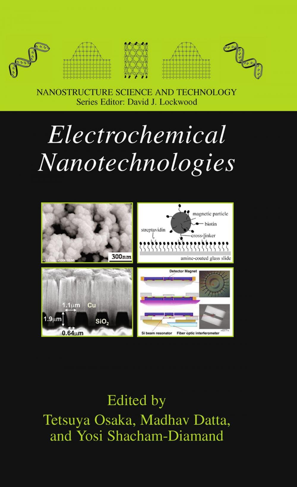 Big bigCover of Electrochemical Nanotechnologies