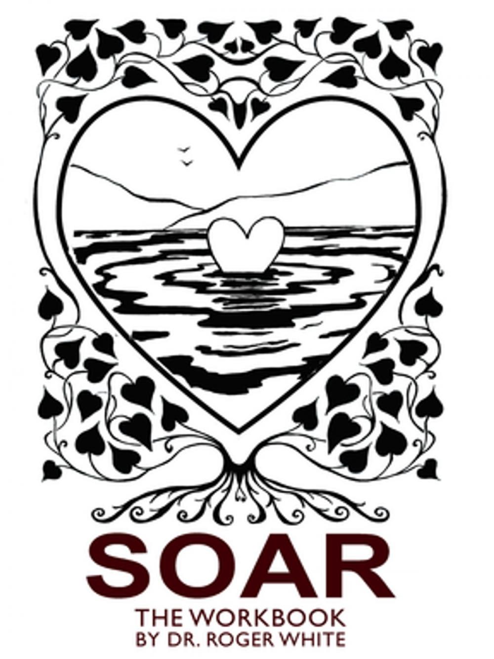 Big bigCover of Soar: the Workbook