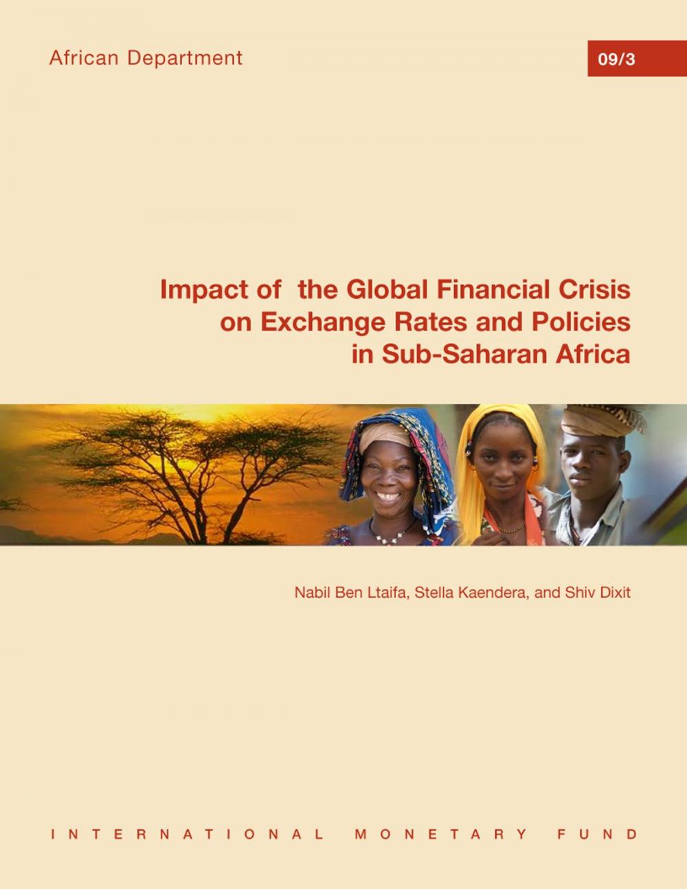 Big bigCover of Impact of the Global Financial Crisis on Exchange Rates and Policies in Sub-Saharan Africa