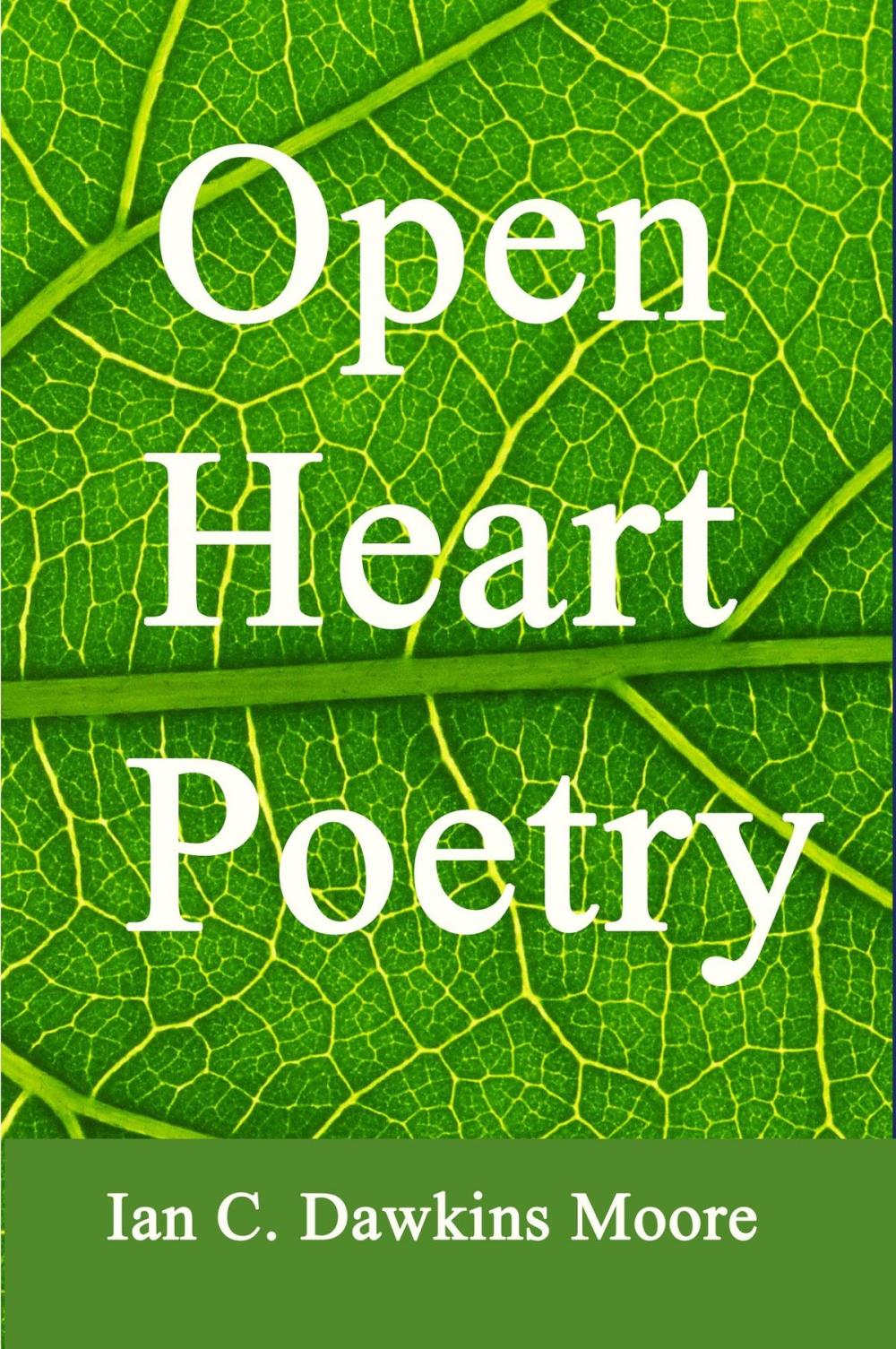 Big bigCover of Open Heart Poetry