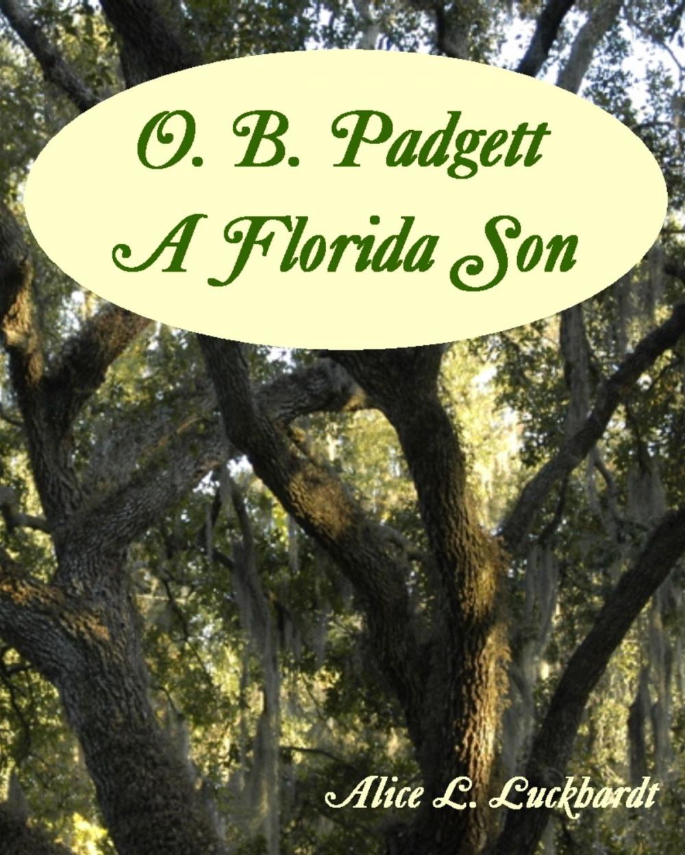 Big bigCover of O. B. Padgett: A Florida Son
