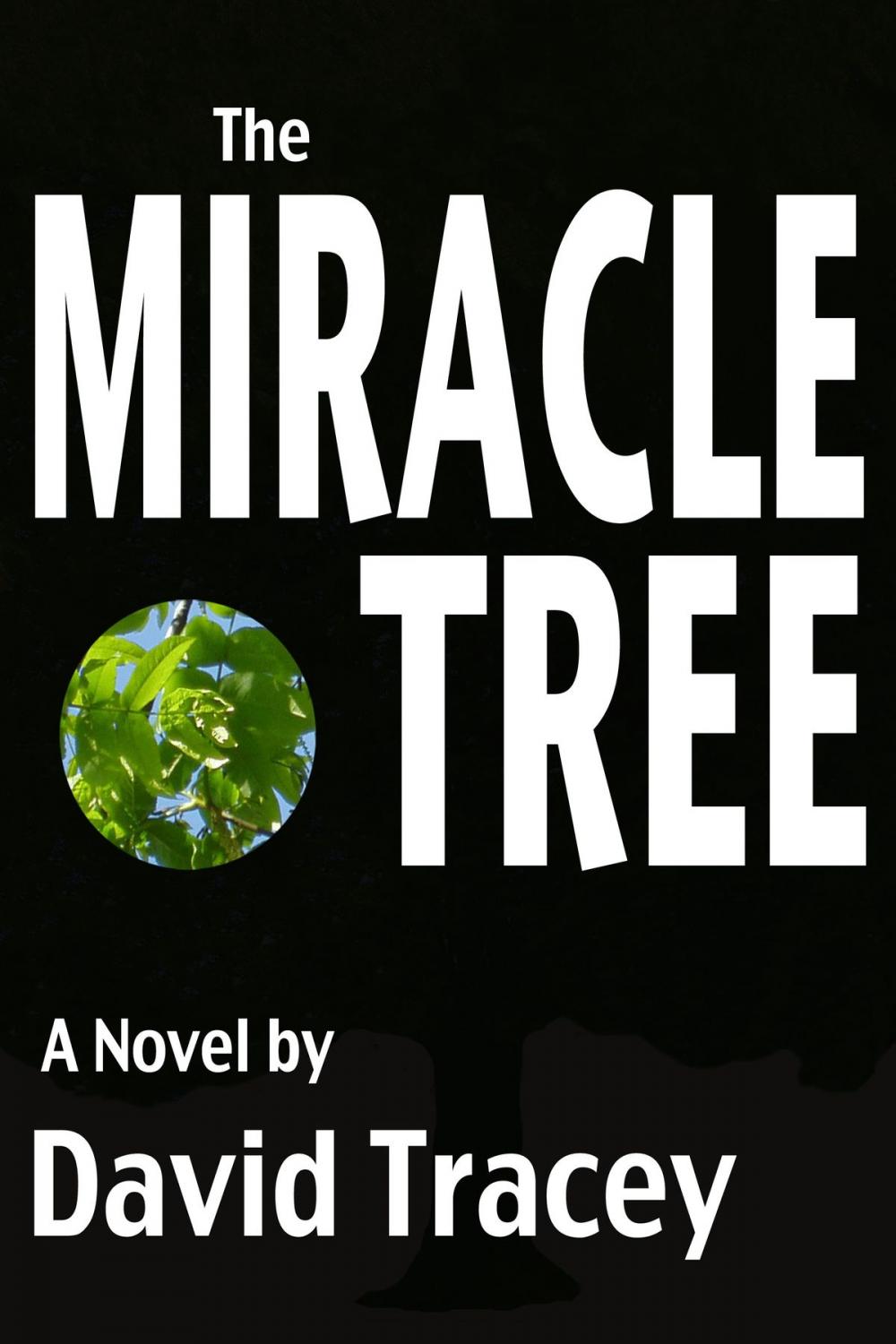 Big bigCover of The Miracle Tree