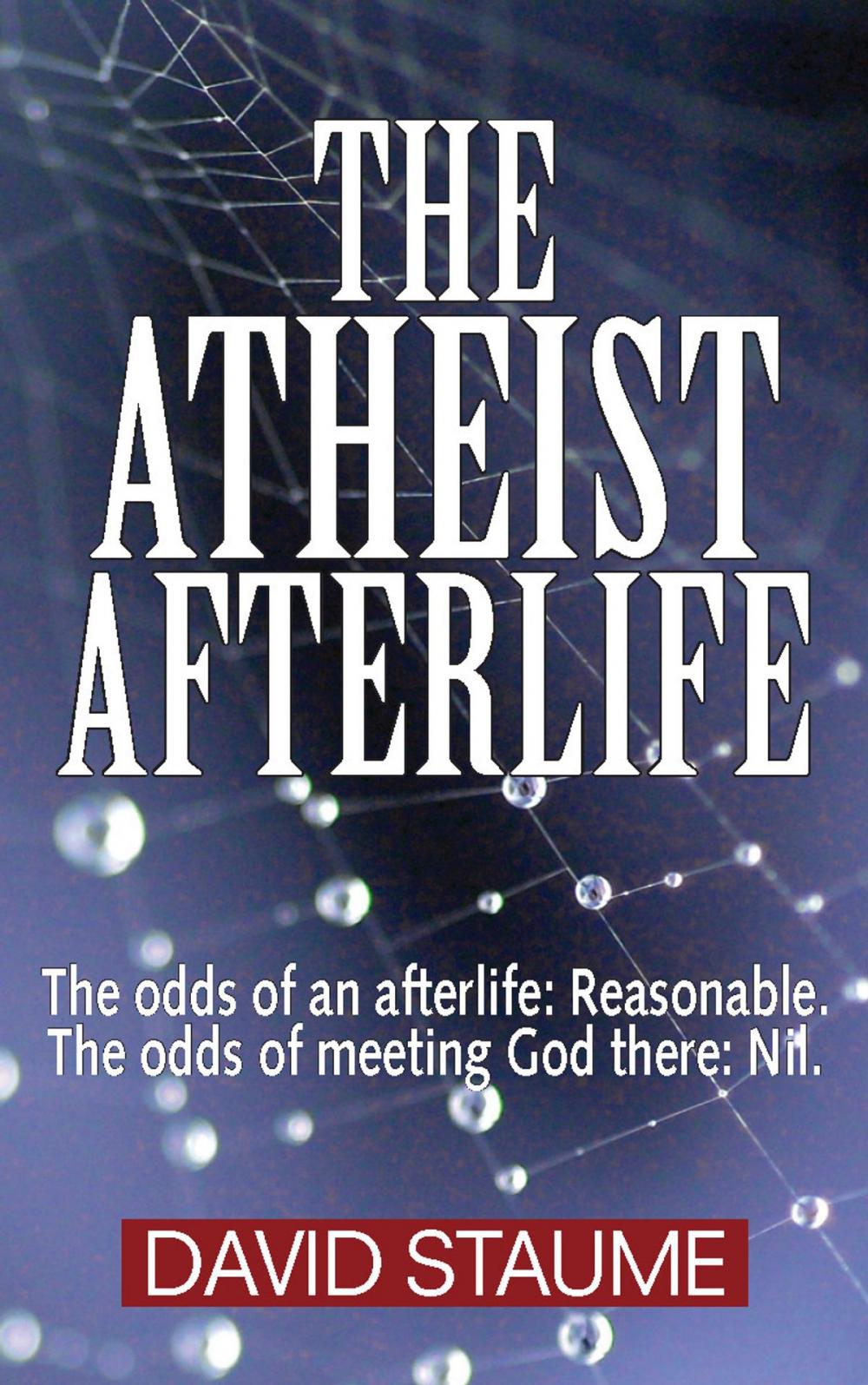 Big bigCover of The Atheist Afterlife