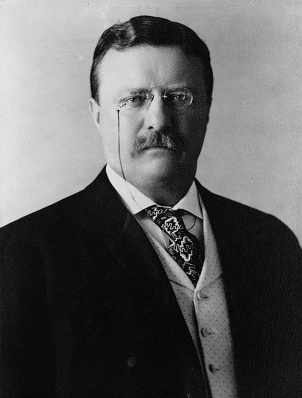 Big bigCover of Theodore Roosevelt: an Intimate Biography