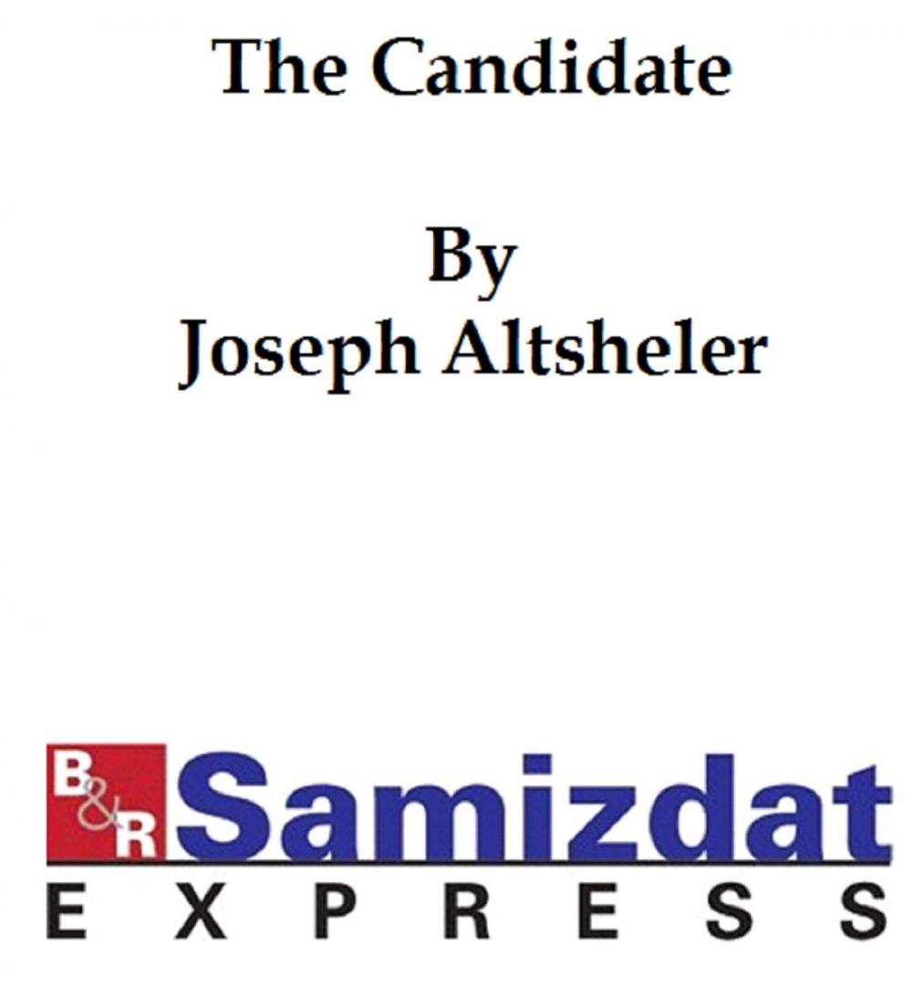 Big bigCover of The Candidate: a Political Romance