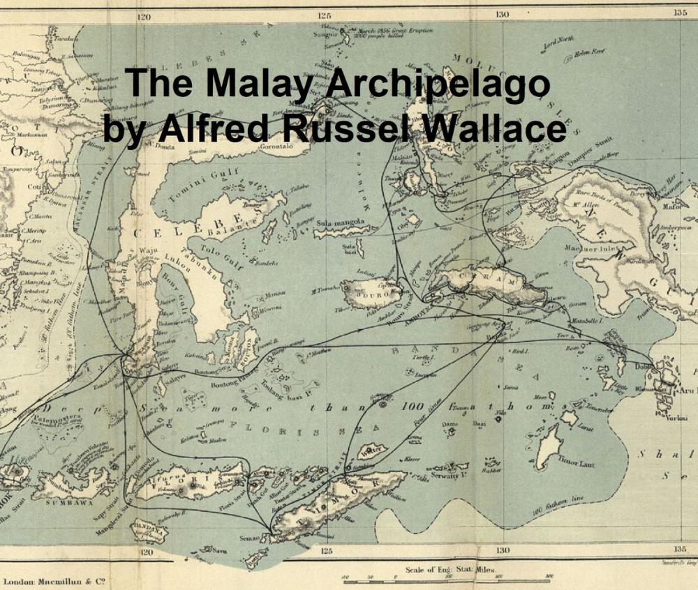 Big bigCover of The Malay Archipelago