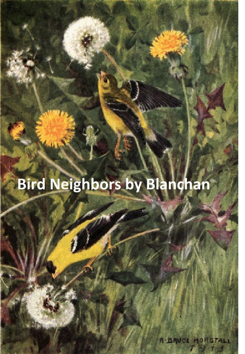 Big bigCover of Bird Neighbors, Illustrated