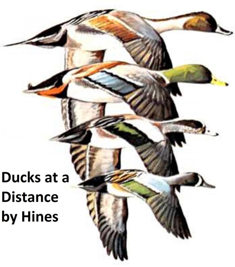 Big bigCover of Ducks at a Distance: a Waterfowl Identification Guide, Illustrated