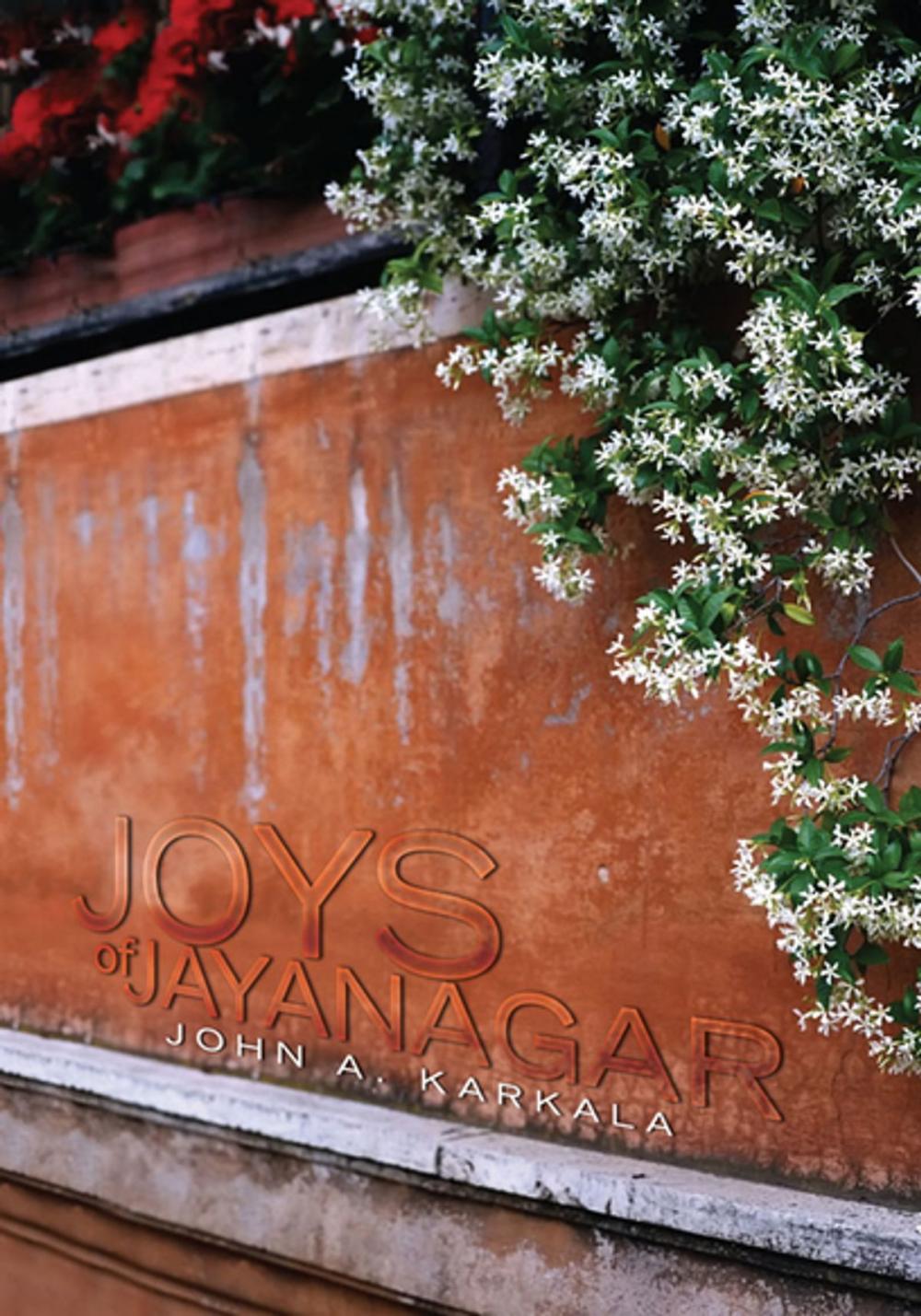 Big bigCover of Joys of Jayanagar