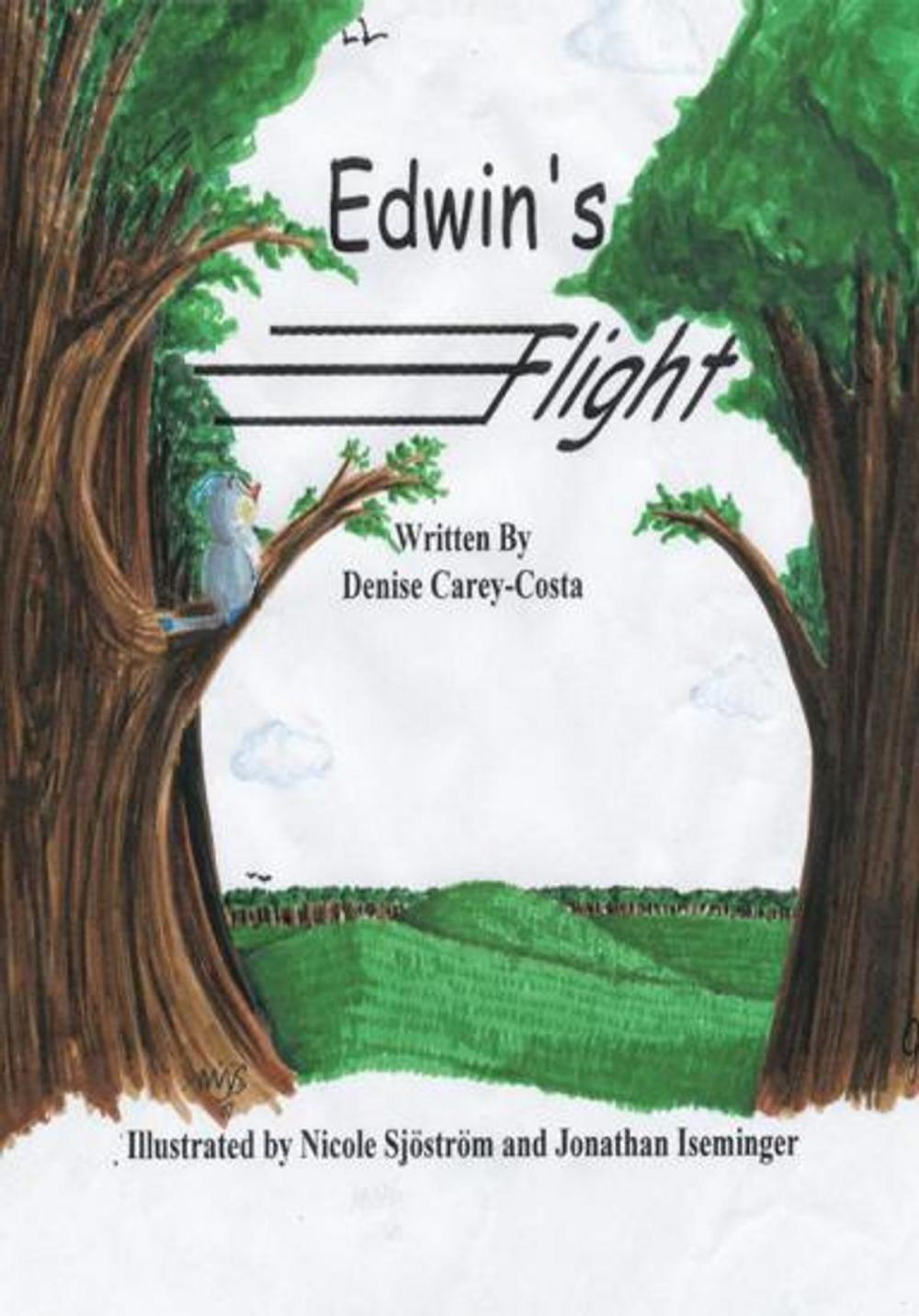 Big bigCover of Edwin's Flight