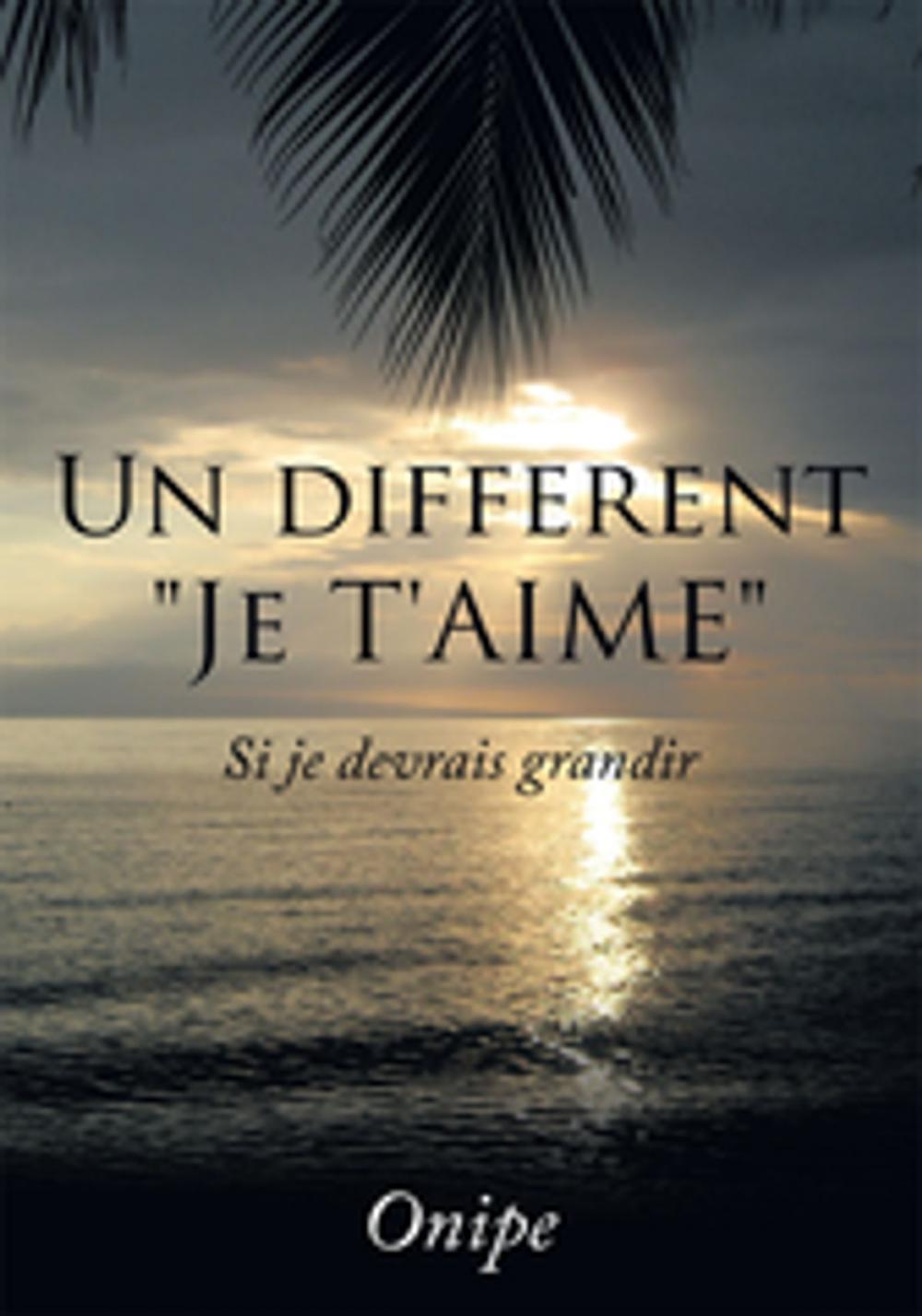 Big bigCover of Un Different "Je T'aime"