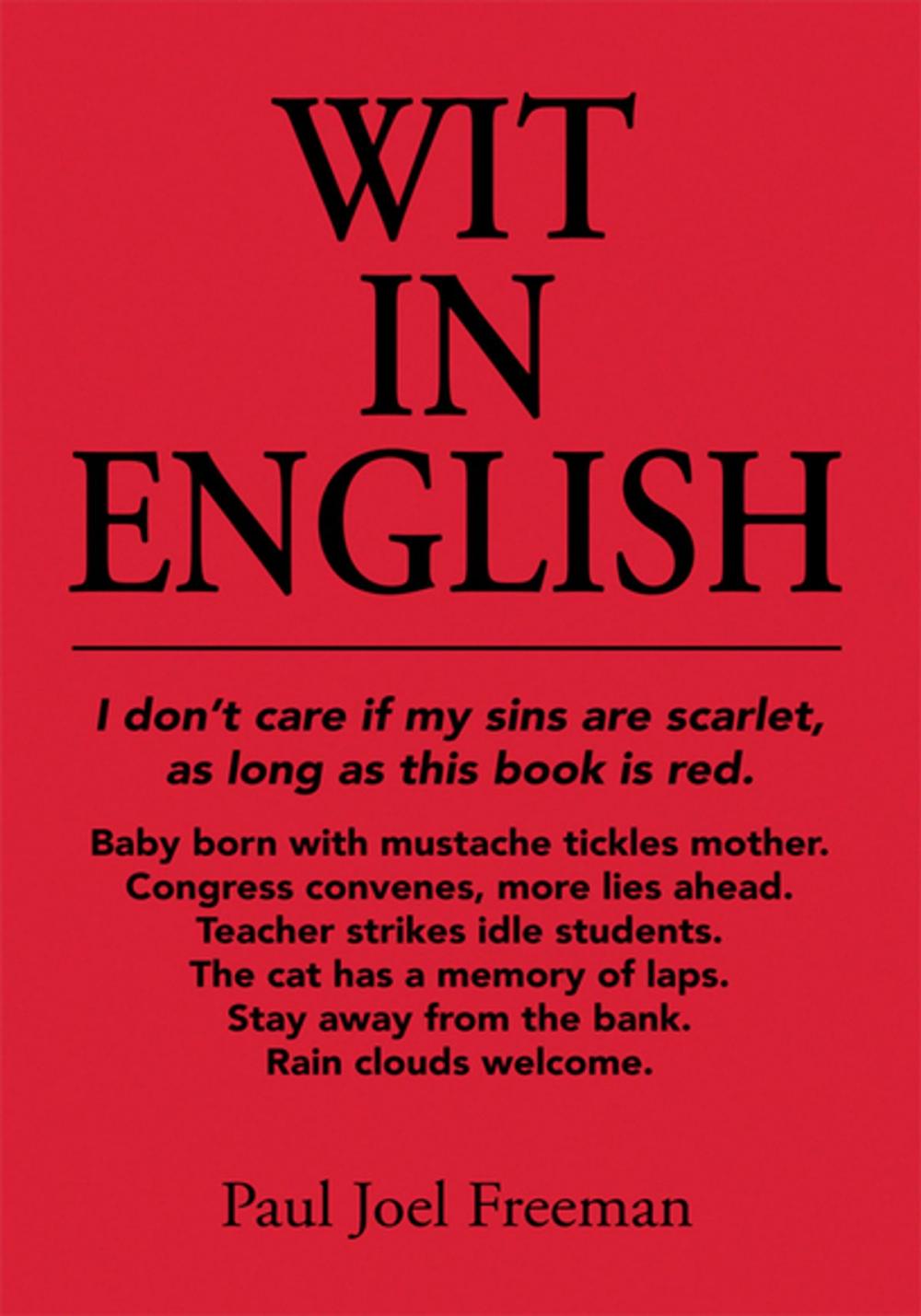 Big bigCover of Wit in English