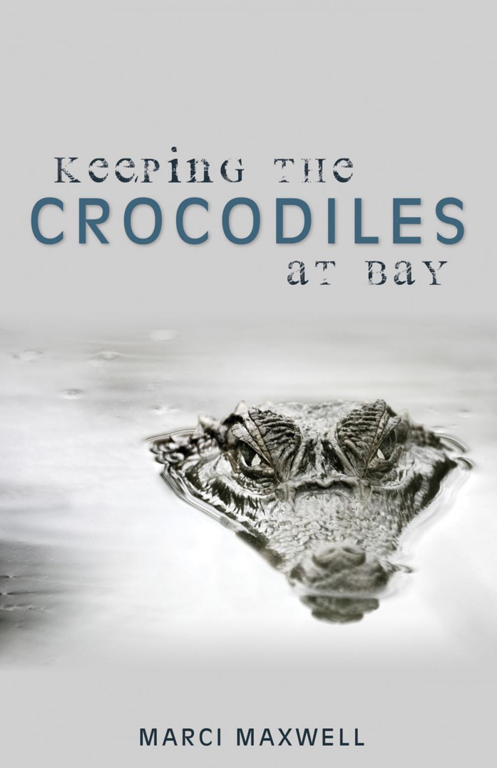 Big bigCover of Keeping the Crocodiles at Bay