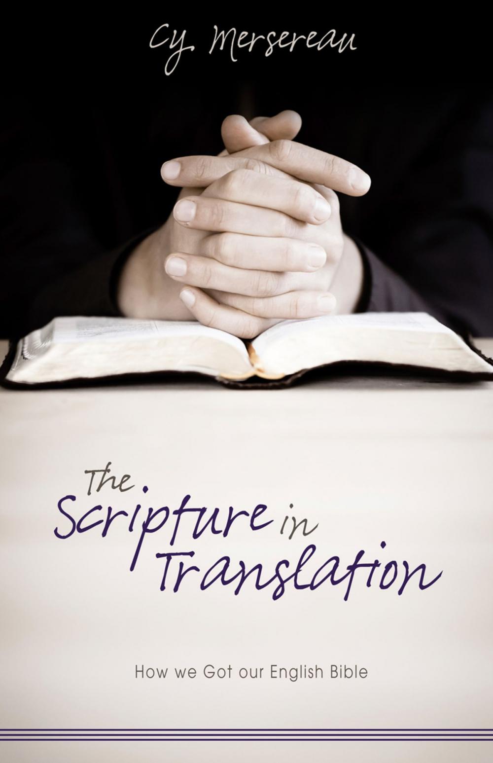 Big bigCover of Scripture in Translation