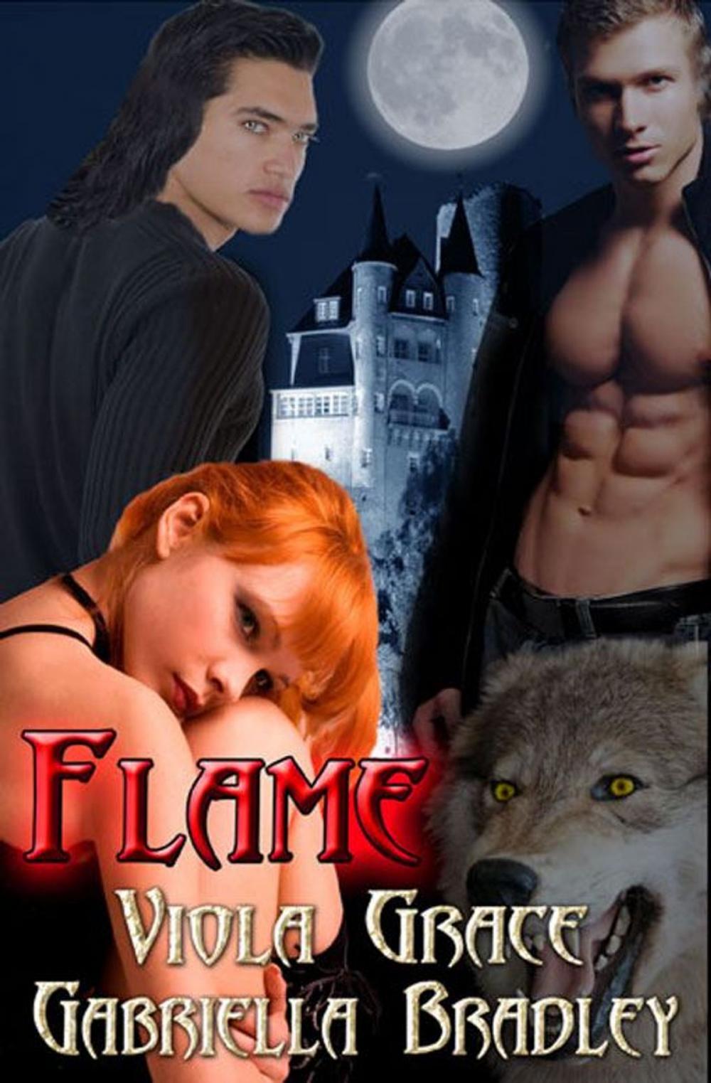 Big bigCover of Flame