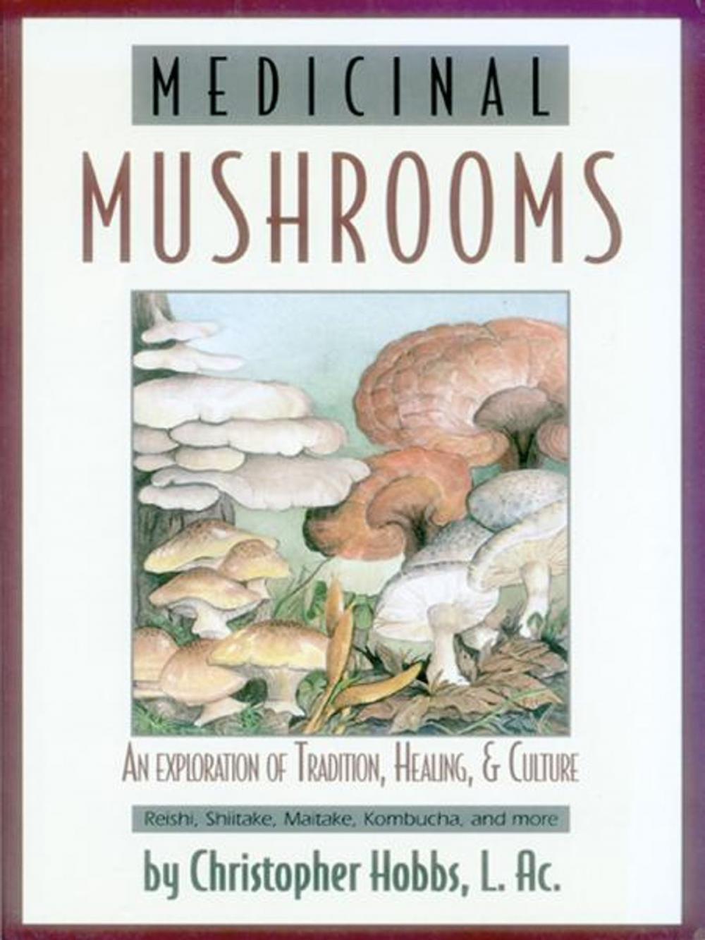 Big bigCover of Medicinal Mushrooms