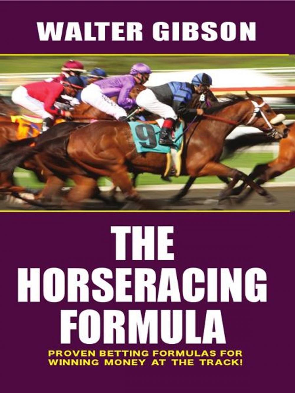 Big bigCover of The Horseracing Formula