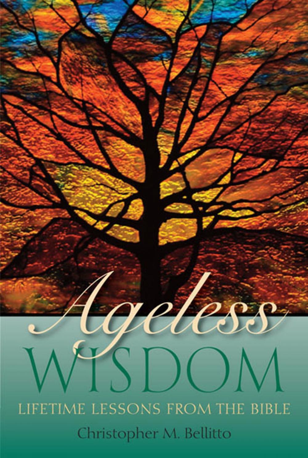 Big bigCover of Ageless Wisdom