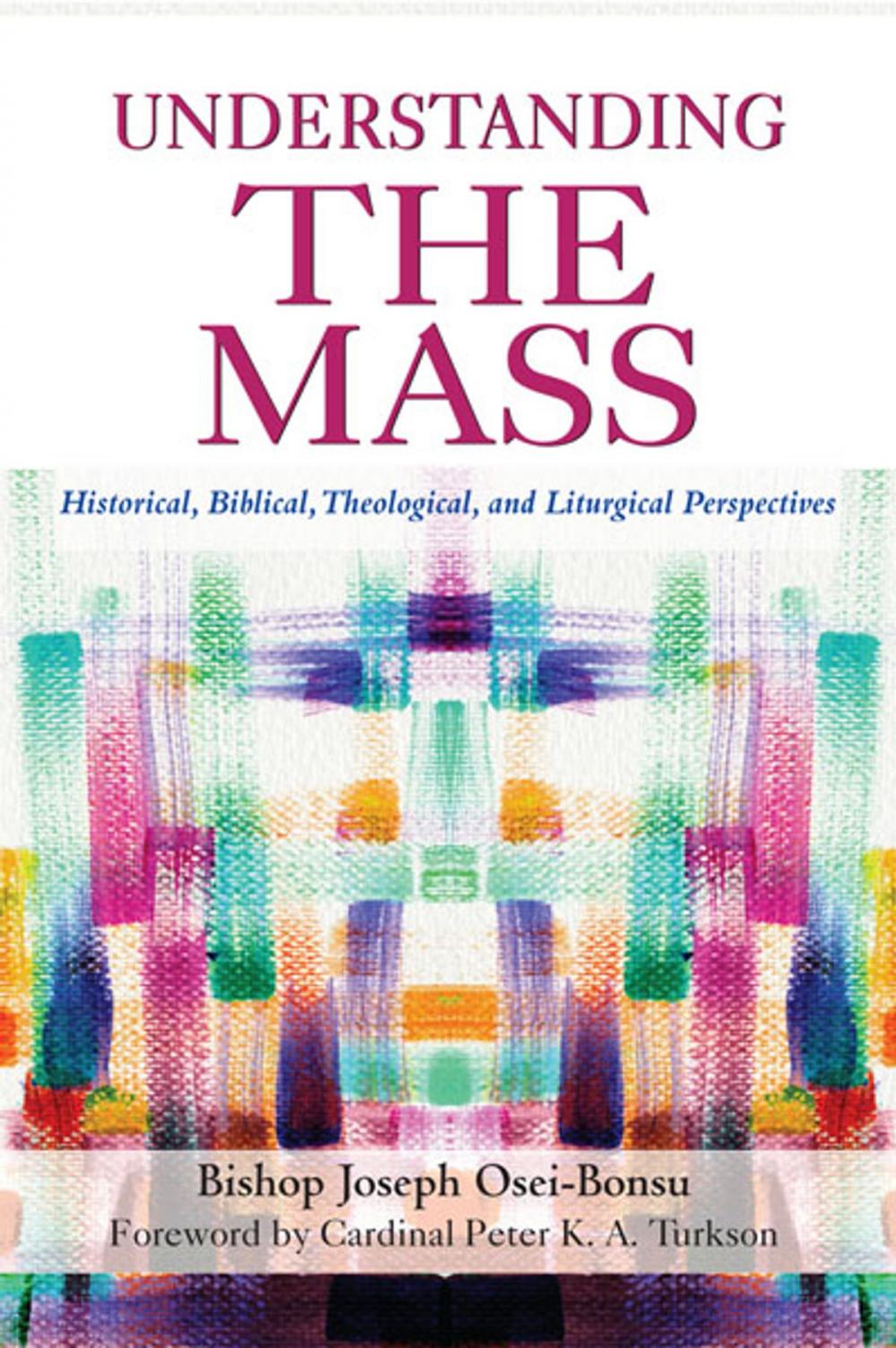 Big bigCover of Understanding the Mass