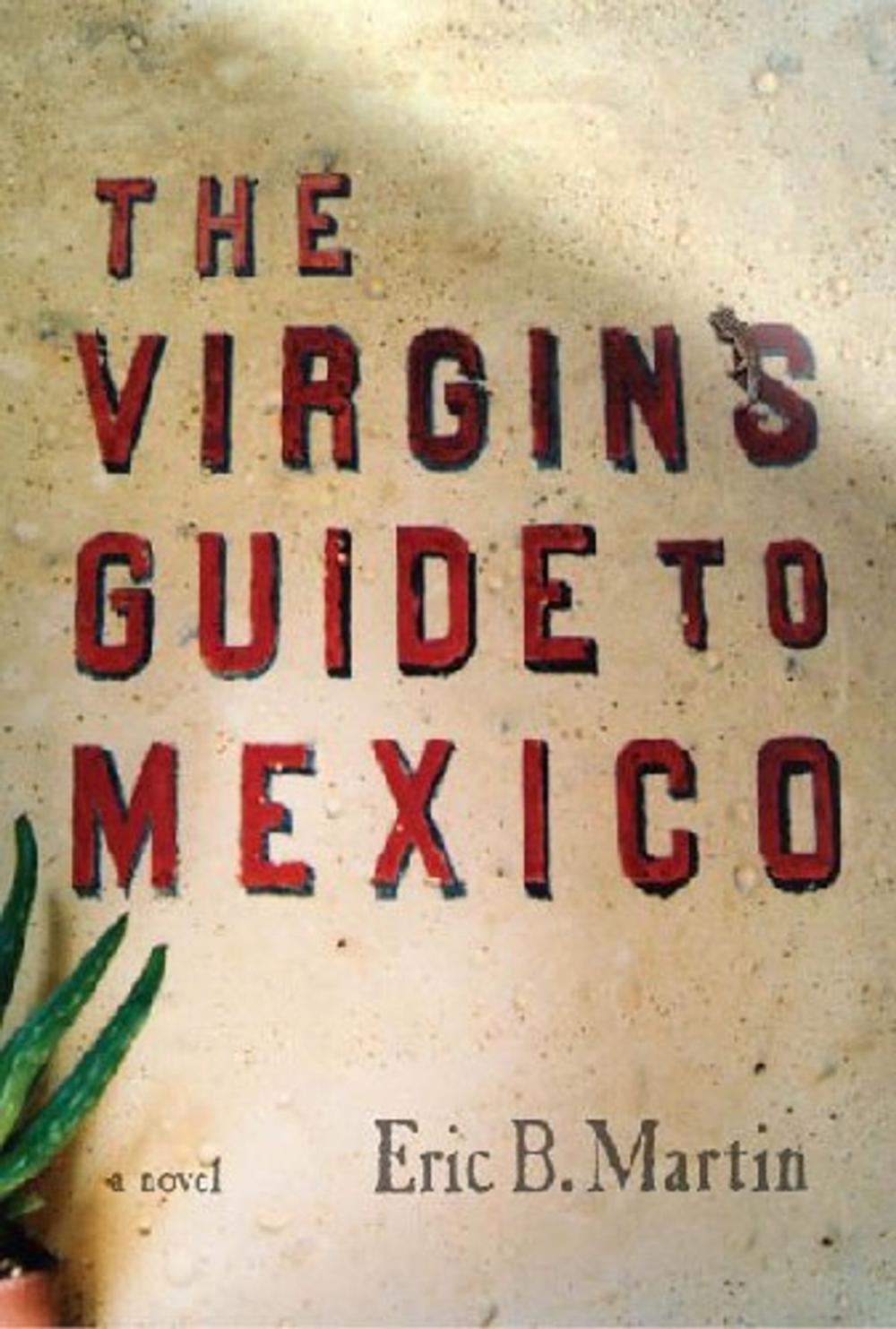 Big bigCover of The Virgins Guide to Mexico