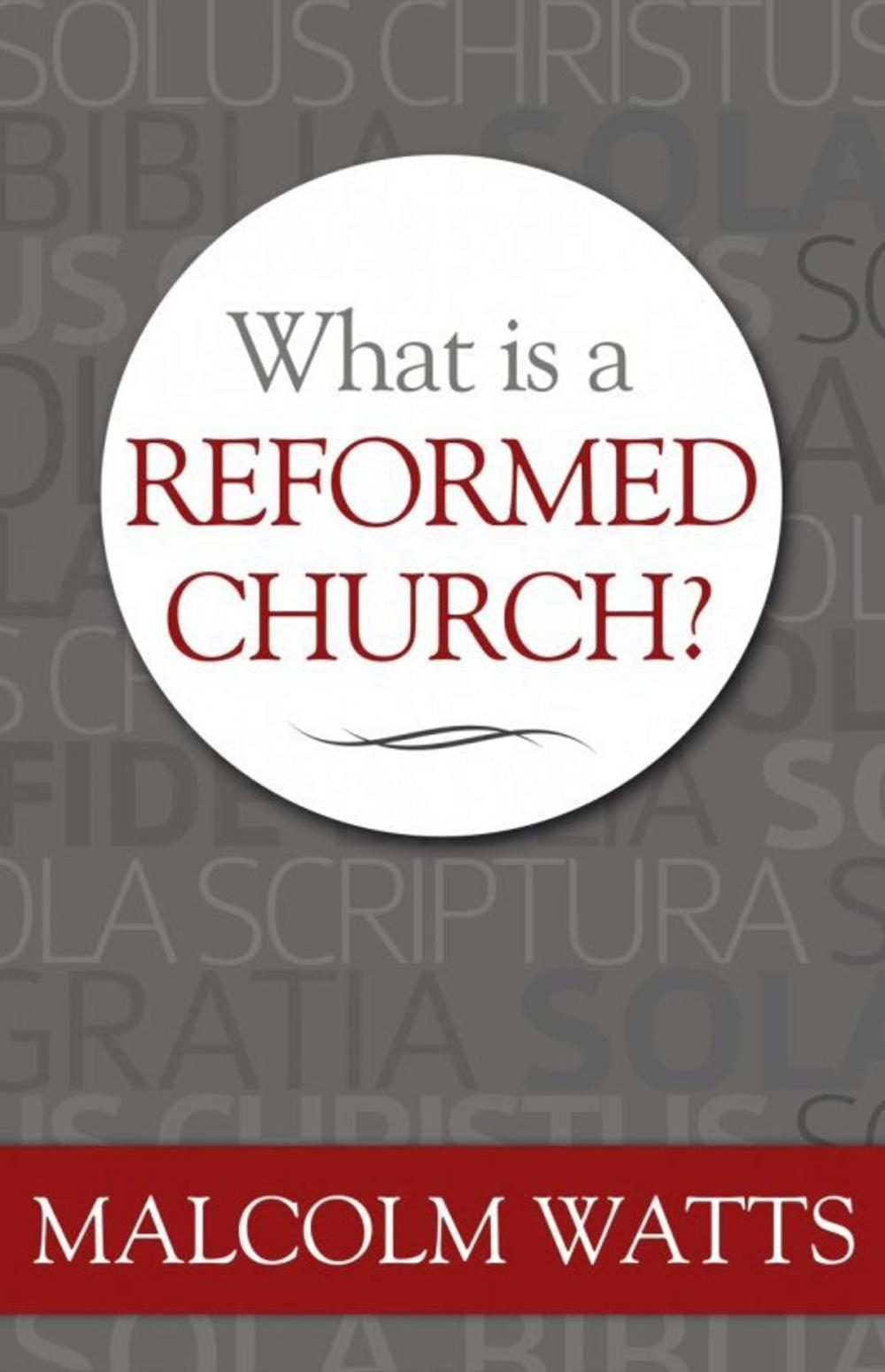 Big bigCover of What is a Reformed Church?