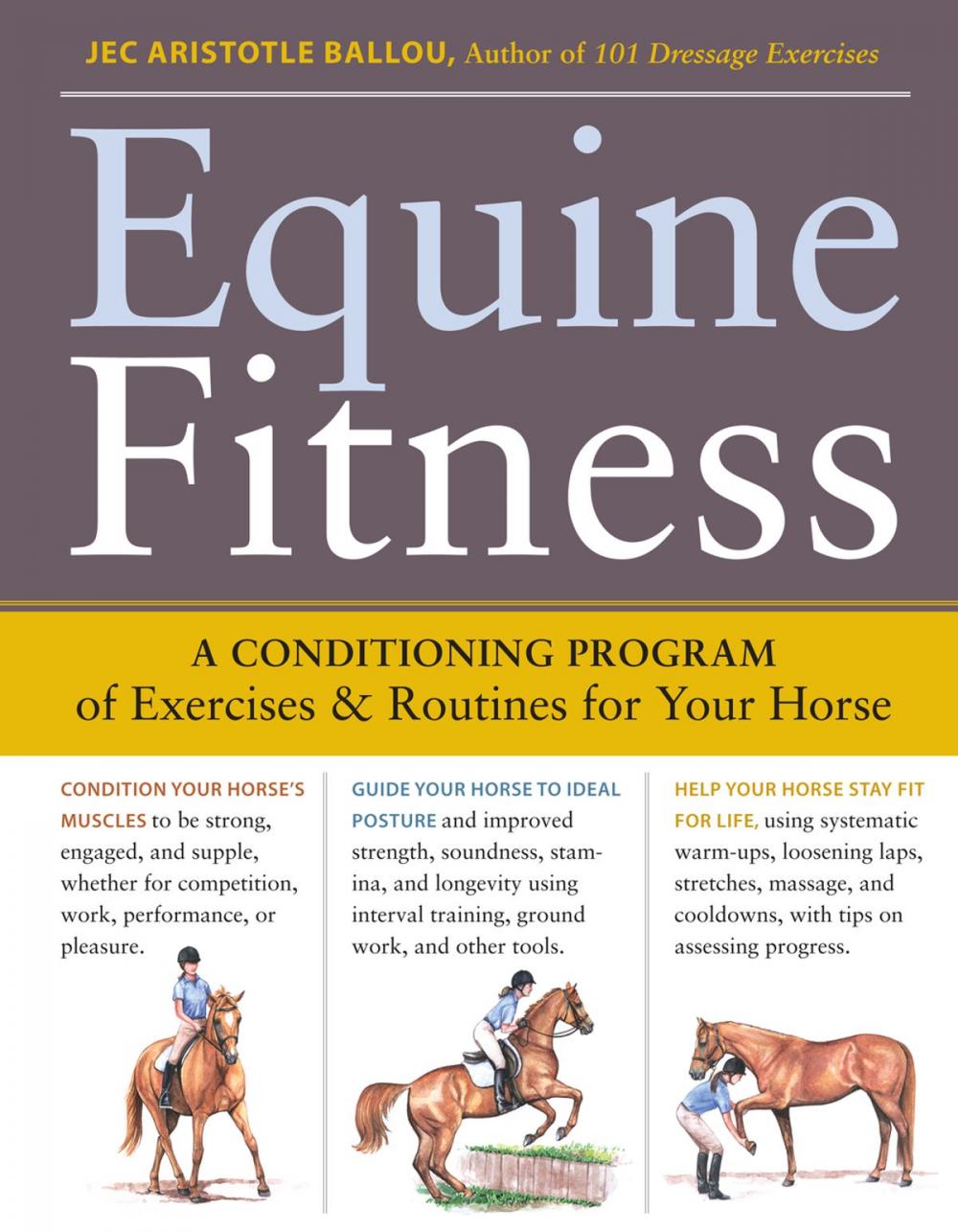 Big bigCover of Equine Fitness