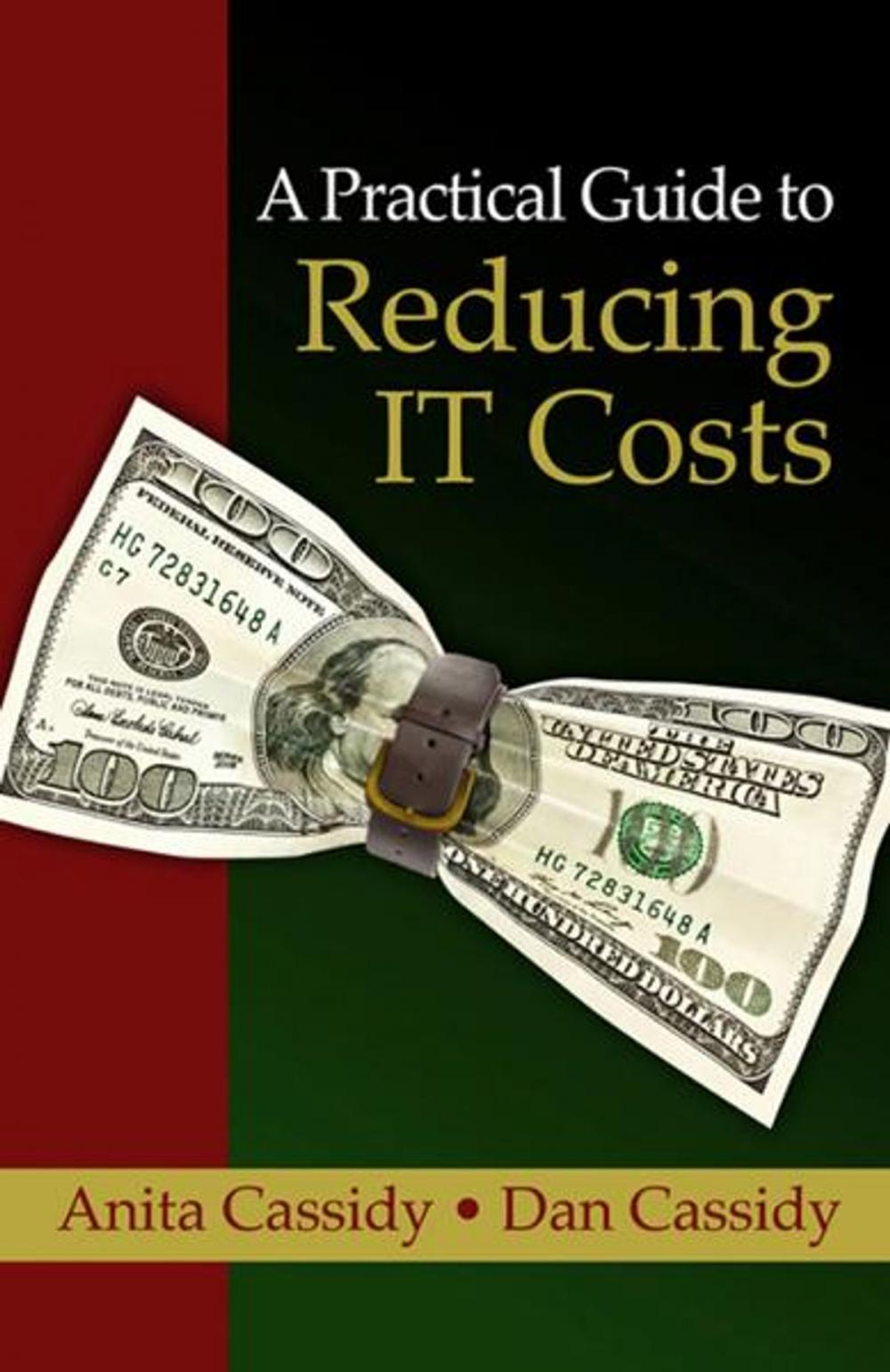 Big bigCover of A Practical Guide to Reducing IT Costs