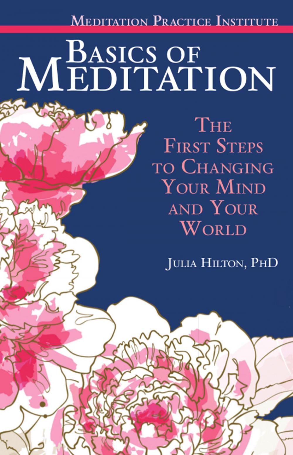 Big bigCover of Basics of Meditation: The First Steps to Changing Your Mind and Your World