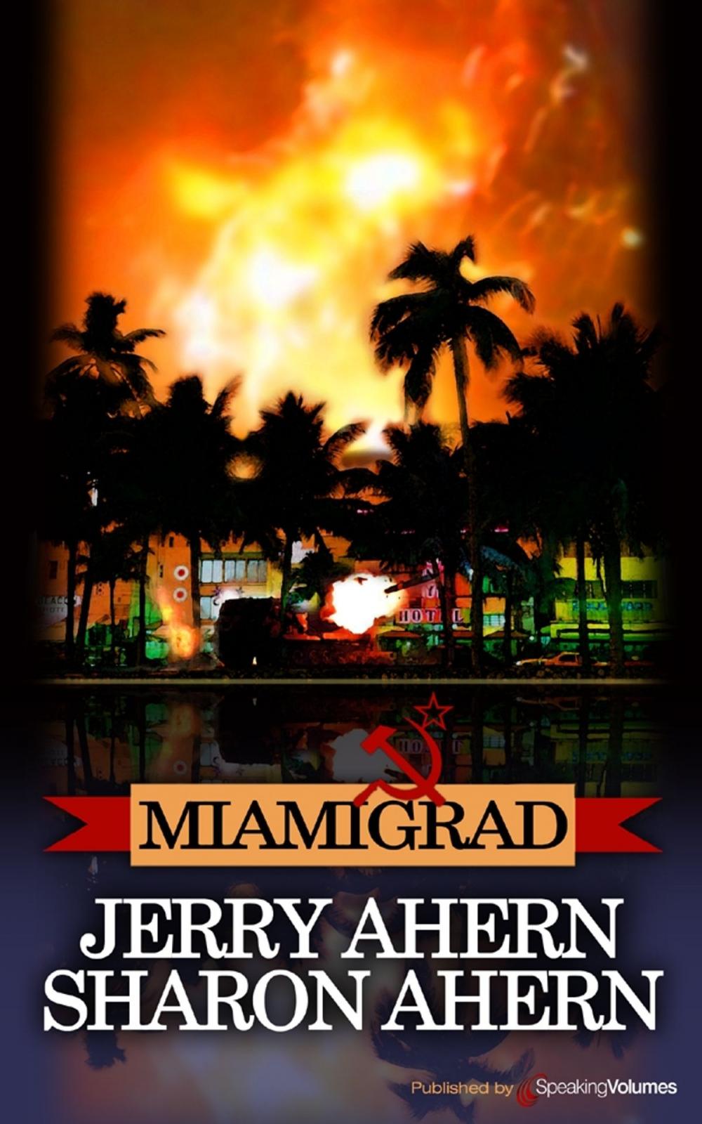 Big bigCover of Miamigrad